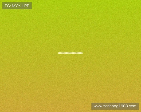 杭州羽毛球队在锦标赛中的技术表现分析与点评